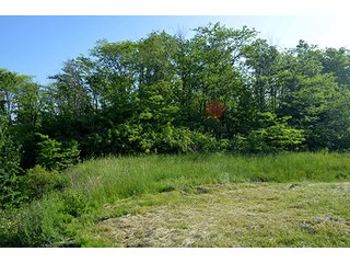 Property photo 8 - LAND AUCTION - 215+/- ACRES OFFERED IN 6 TRACTS IN VAN WERT COUNTY, OHIO